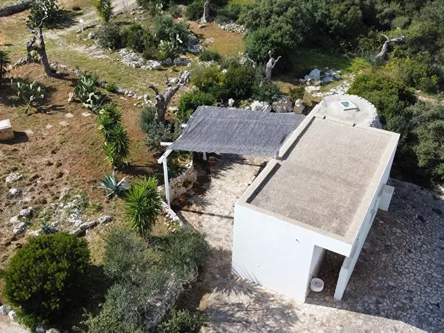 Immagine 9 di Baita in vendita  a Salve