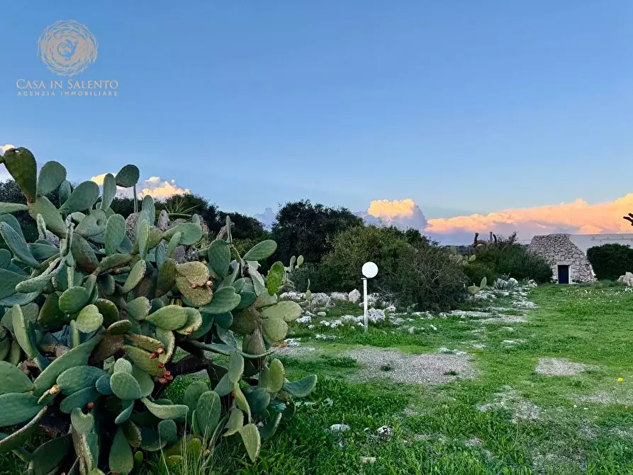 Immagine 43 di Baita in vendita  a Salve