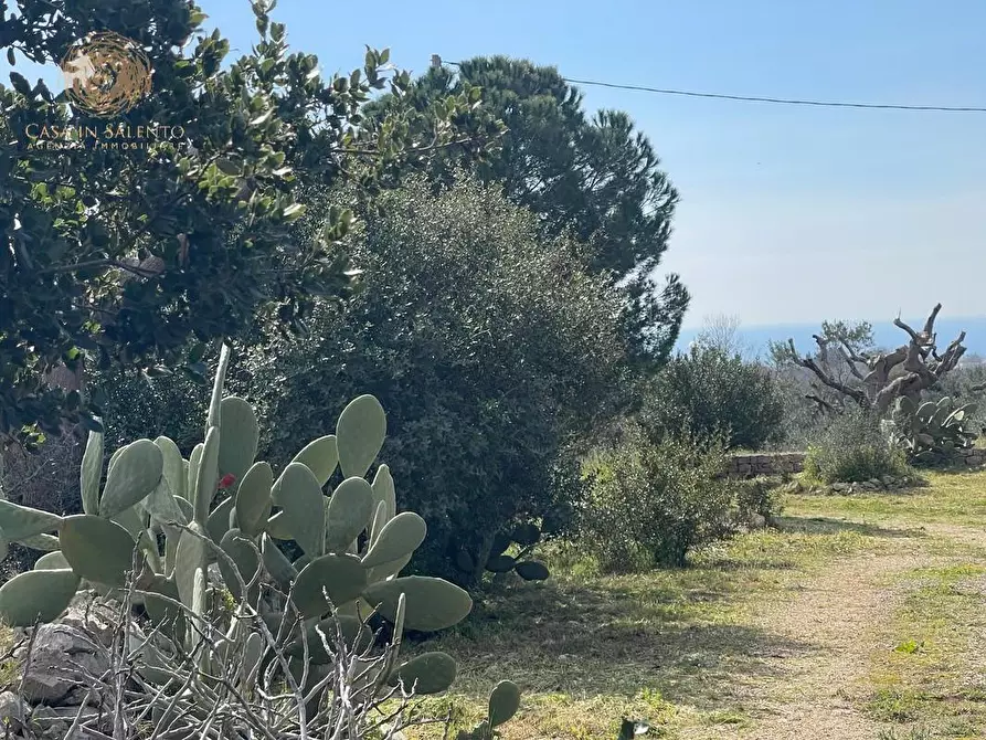 Immagine 9 di Baita in vendita  a Salve