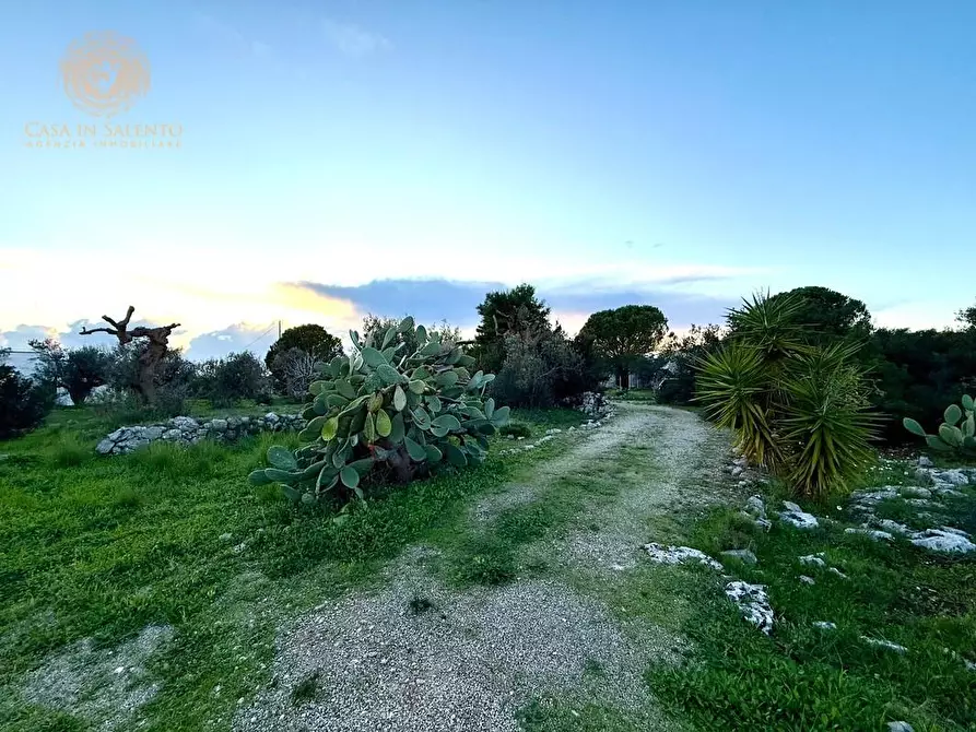 Immagine 44 di Baita in vendita  a Salve