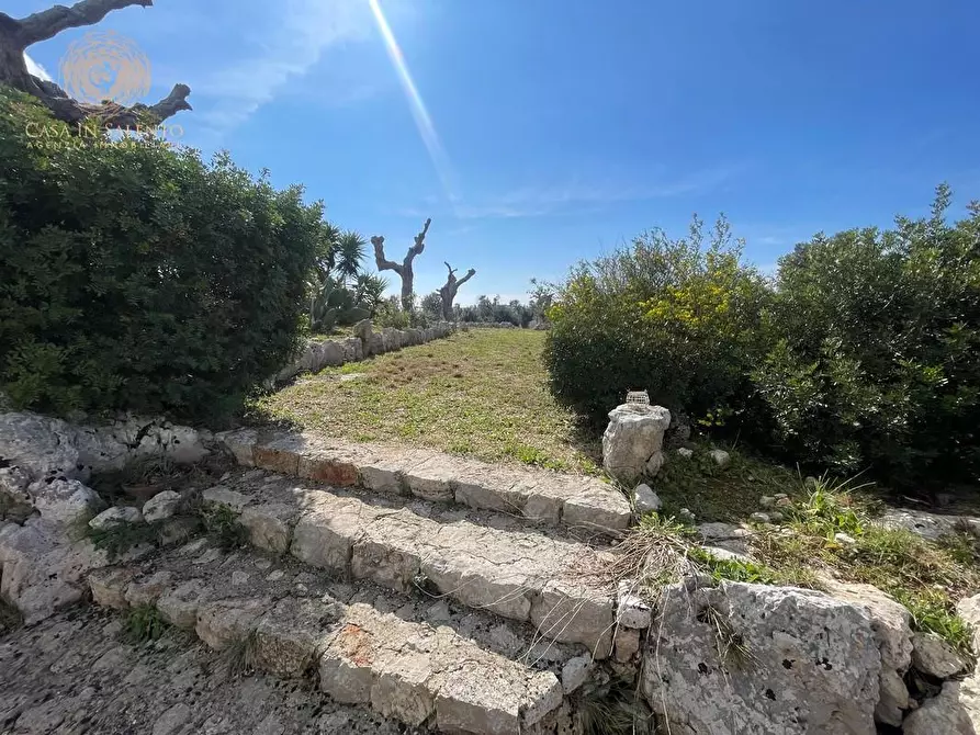 Immagine 19 di Baita in vendita  a Salve