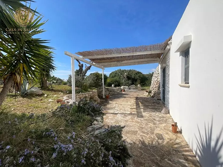 Immagine 18 di Baita in vendita  a Salve