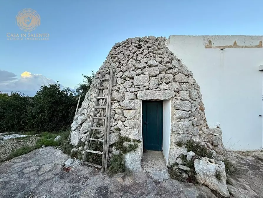 Immagine 39 di Baita in vendita  a Salve