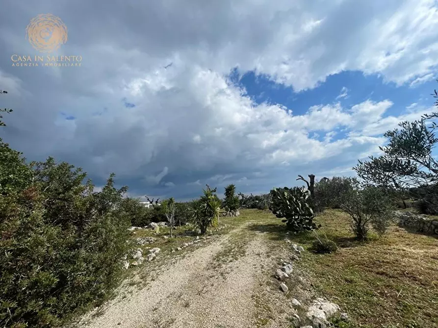 Immagine 10 di Baita in vendita  a Salve