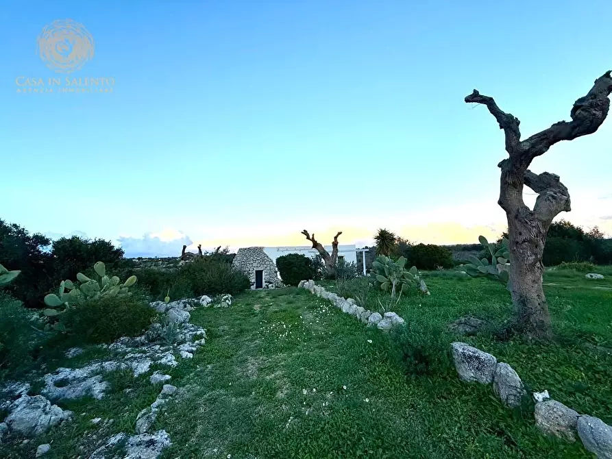 Immagine 42 di Baita in vendita  a Salve