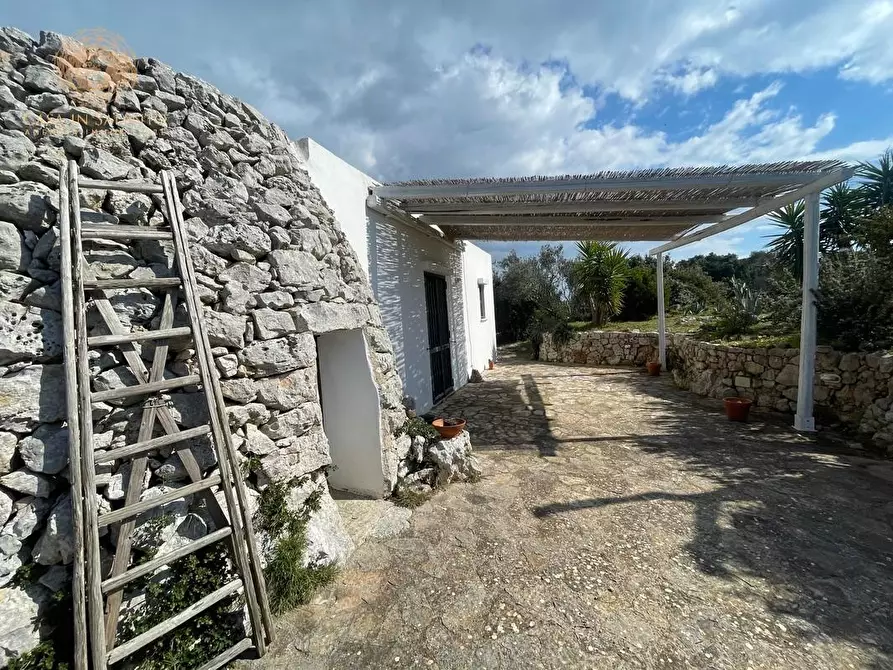 Immagine 4 di Baita in vendita  a Salve