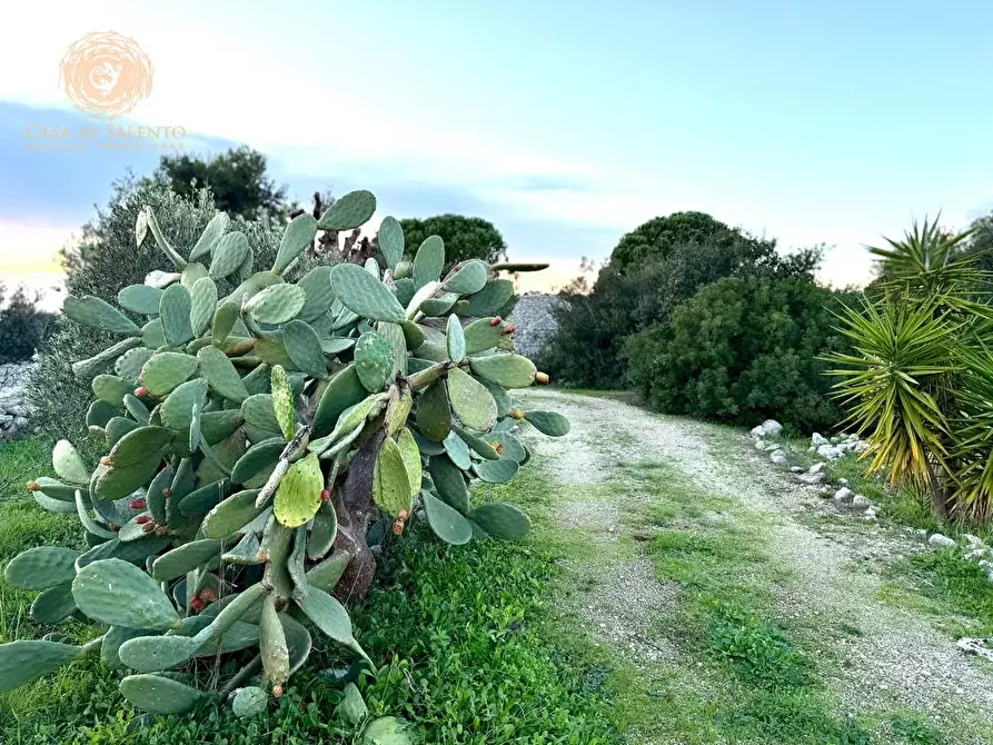 Immagine 48 di Baita in vendita  a Salve