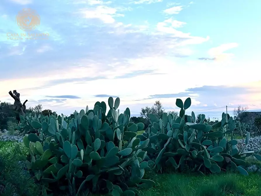 Immagine 47 di Baita in vendita  a Salve