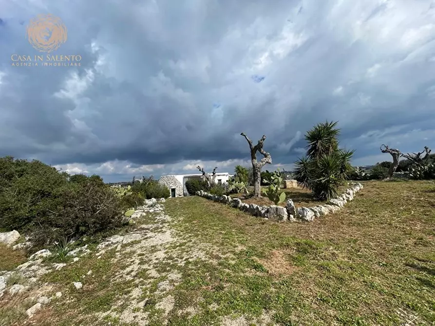 Immagine 11 di Baita in vendita  a Salve