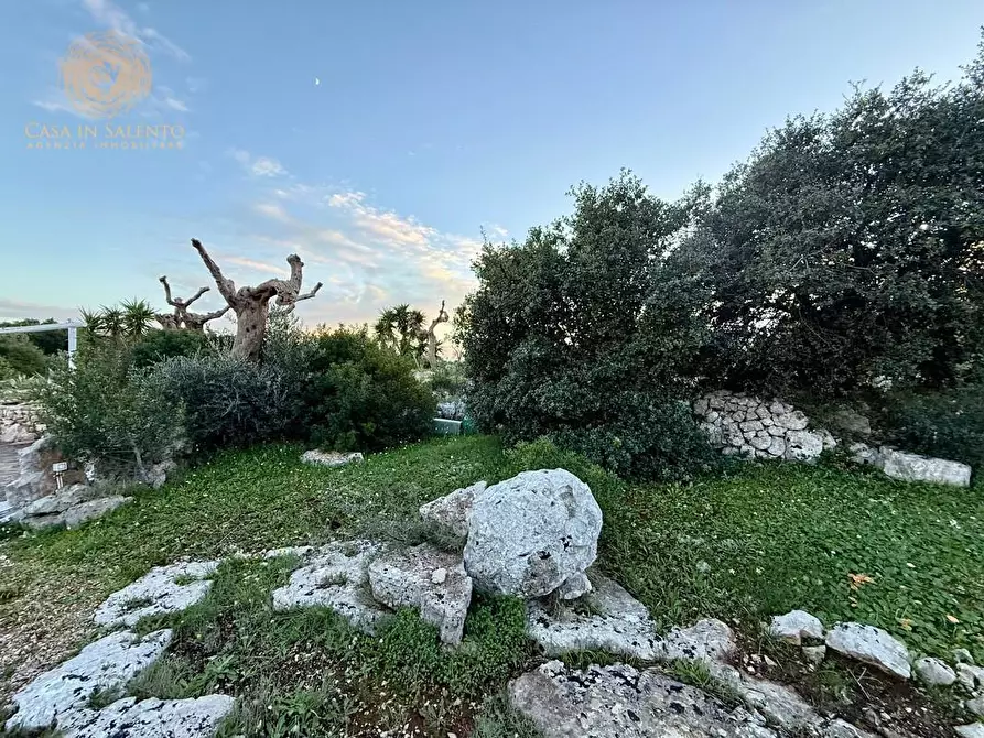 Immagine 41 di Baita in vendita  a Salve