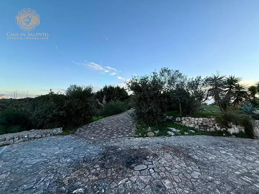 Immagine 30 di Baita in vendita  a Salve