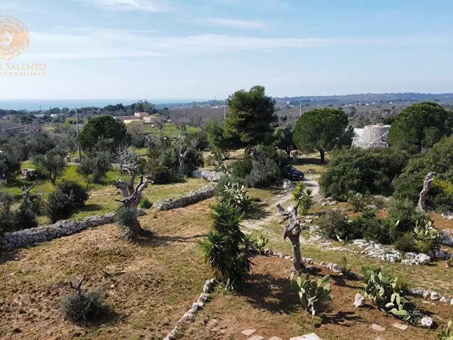 Immagine 22 di Baita in vendita  a Salve