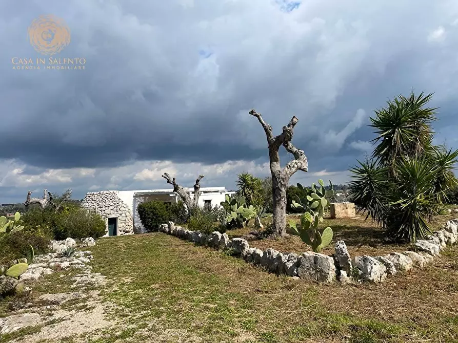 Immagine 12 di Baita in vendita  a Salve