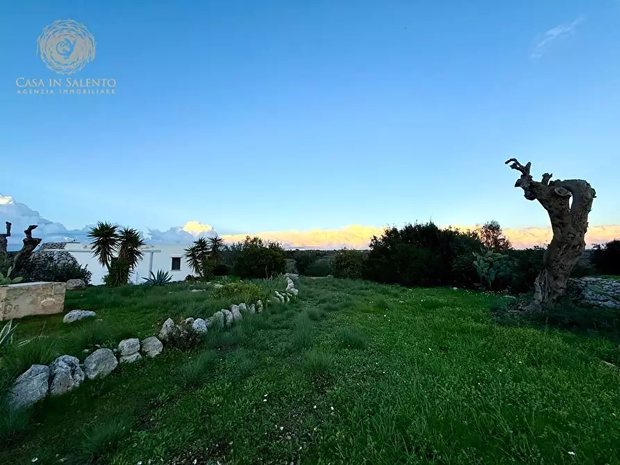 Immagine 46 di Baita in vendita  a Salve