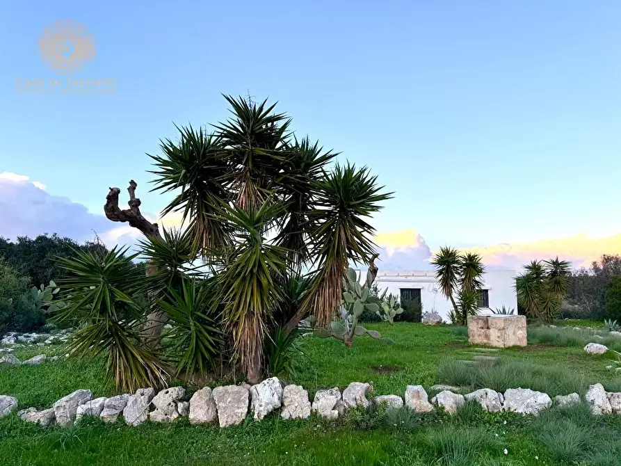 Immagine 51 di Baita in vendita  a Salve