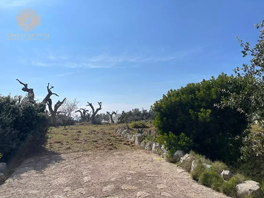 Immagine 14 di Baita in vendita  a Salve