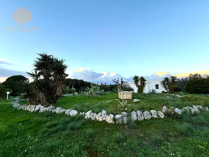 Immagine 45 di Baita in vendita  a Salve