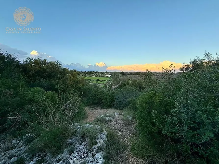 Immagine 40 di Baita in vendita  a Salve