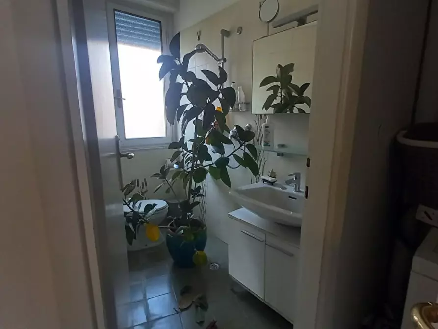 Immagine 25 di Appartamento in affitto  a Camaiore