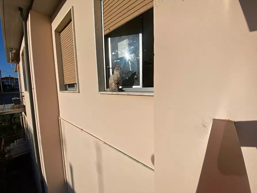 Immagine 29 di Appartamento in vendita  a Montopoli In Val D'arno