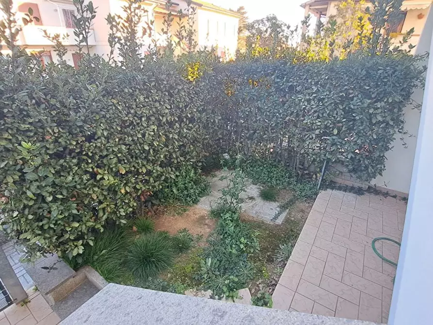 Immagine 12 di Appartamento in vendita  a Rosignano Marittimo