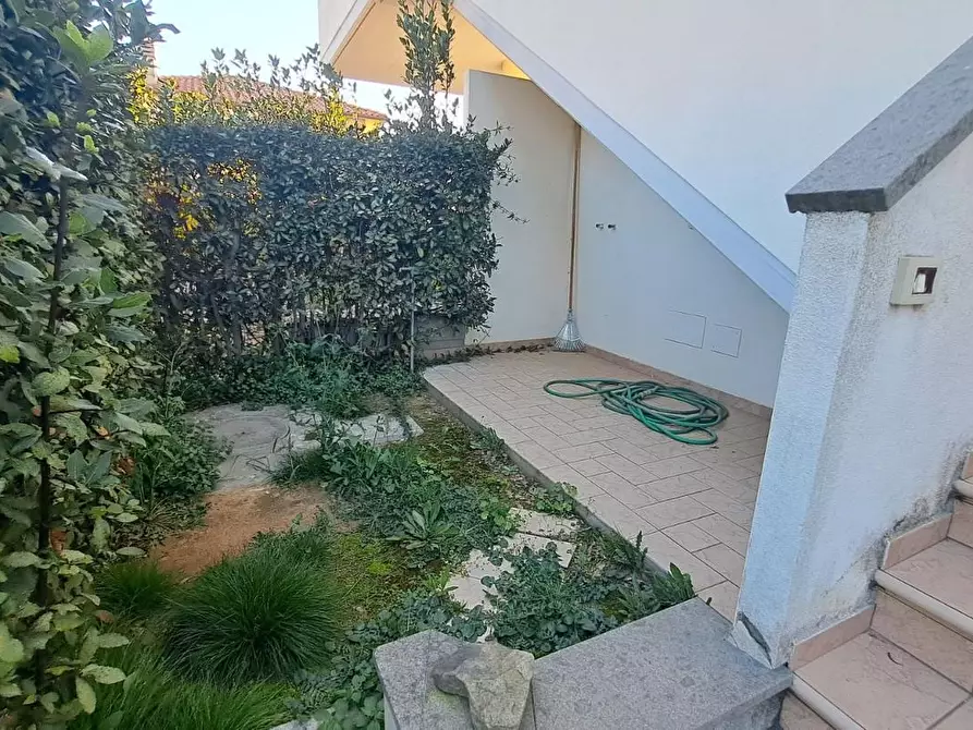 Immagine 13 di Appartamento in vendita  a Rosignano Marittimo