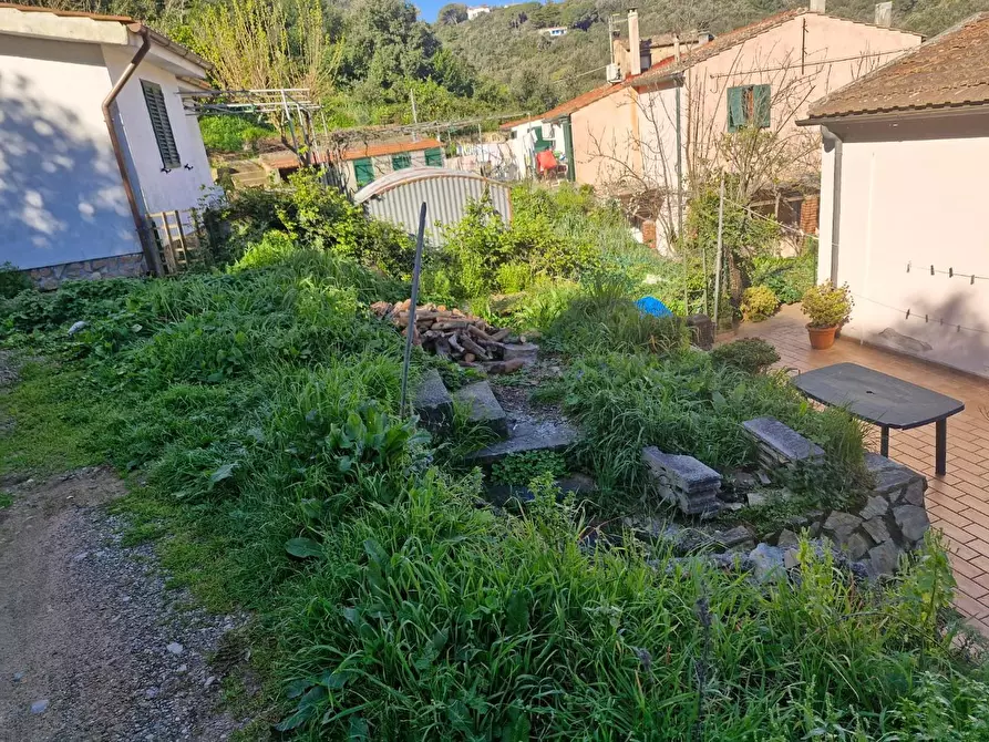 Immagine 21 di Appartamento in vendita  a Rio Marina