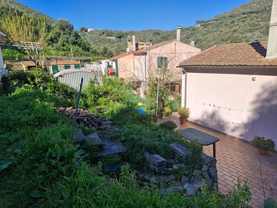 Immagine 22 di Appartamento in vendita  a Rio Marina