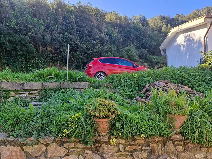 Immagine 28 di Appartamento in vendita  a Rio Marina