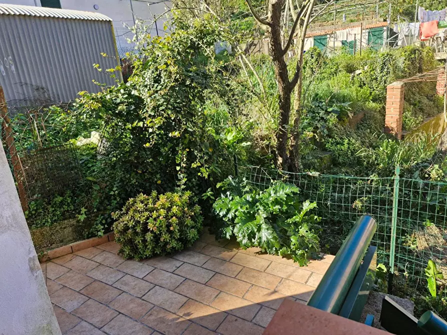 Immagine 32 di Appartamento in vendita  a Rio Marina