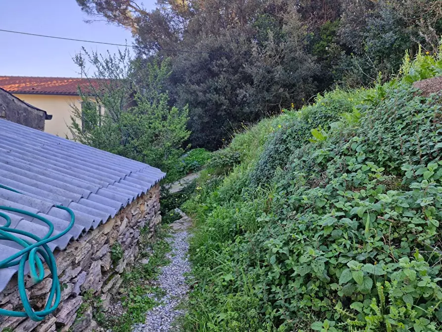 Immagine 29 di Appartamento in vendita  a Rio Marina