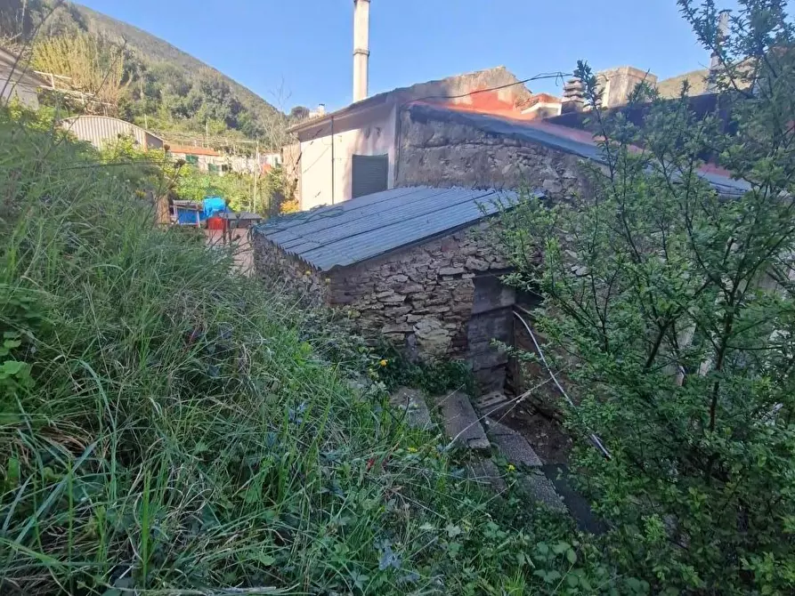 Immagine 25 di Appartamento in vendita  a Rio Marina