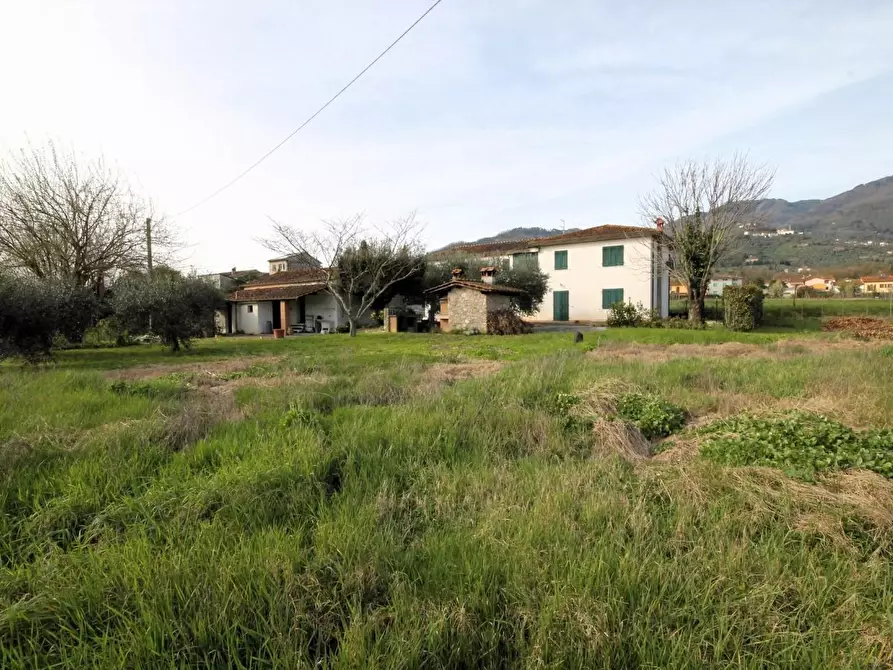 Immagine 4 di Rustico / casale in vendita  a Capannori