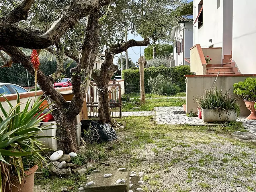 Immagine 26 di Casa trifamiliare in vendita  a Vicopisano