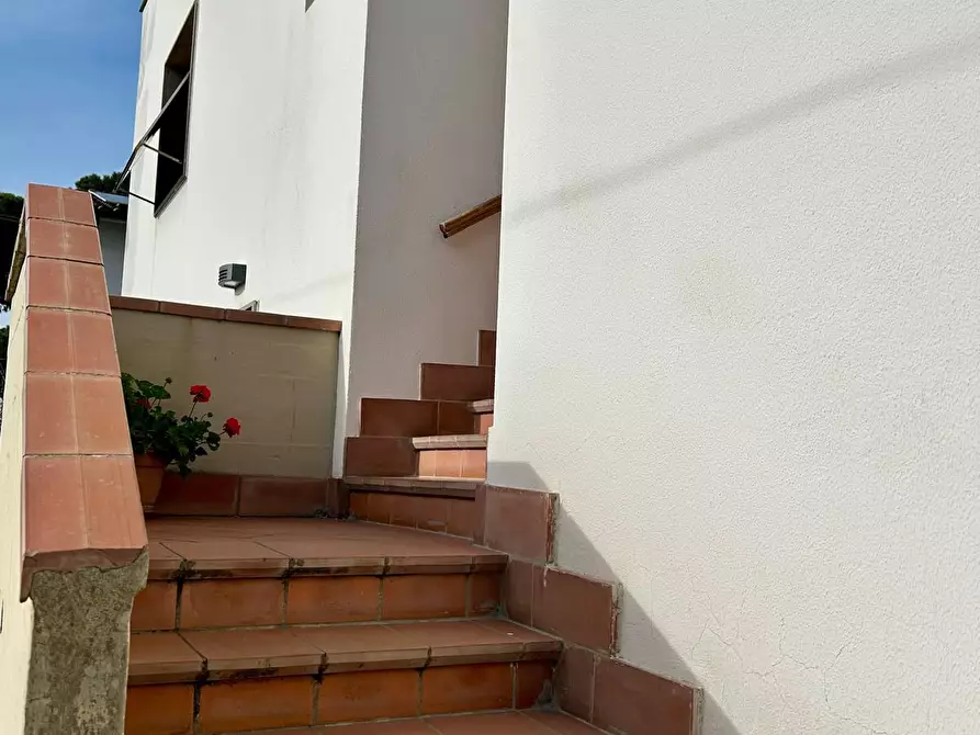 Immagine 20 di Casa trifamiliare in vendita  a Vicopisano