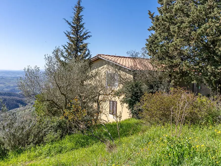 Immagine 4 di Casa bifamiliare in vendita  a Vinci