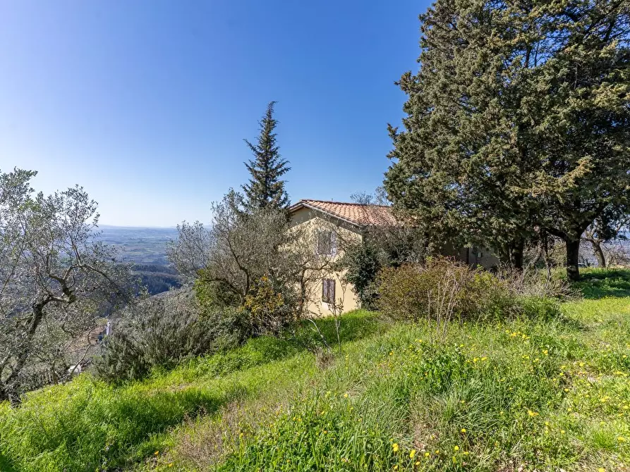 Immagine 3 di Casa bifamiliare in vendita  a Vinci