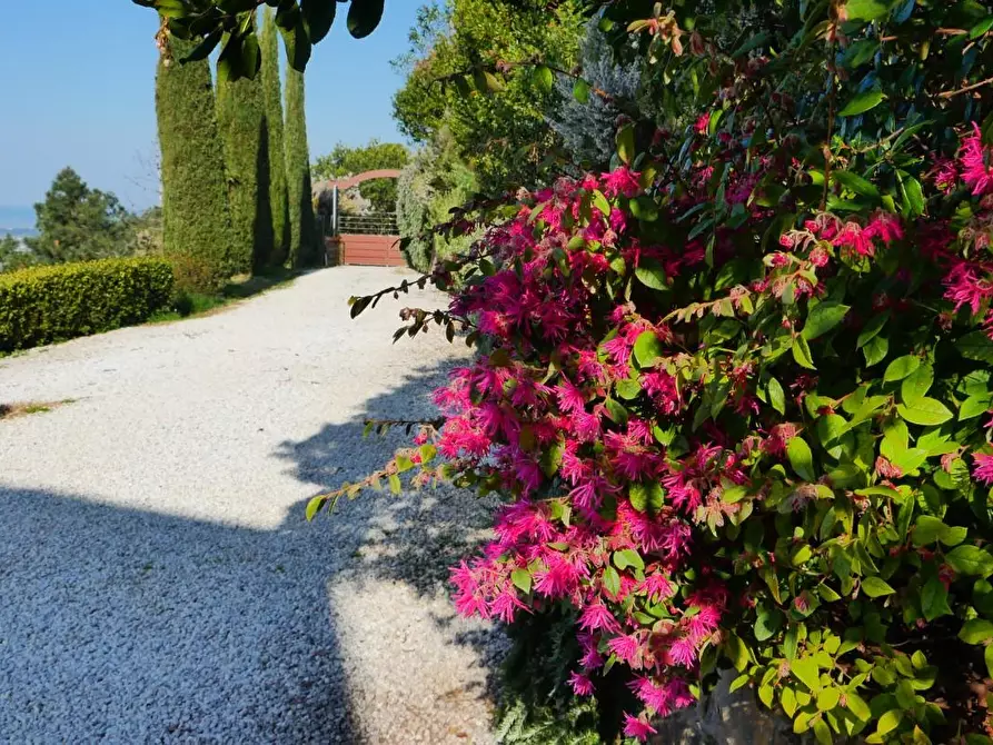 Immagine 12 di Casa colonica in vendita  a Massarosa