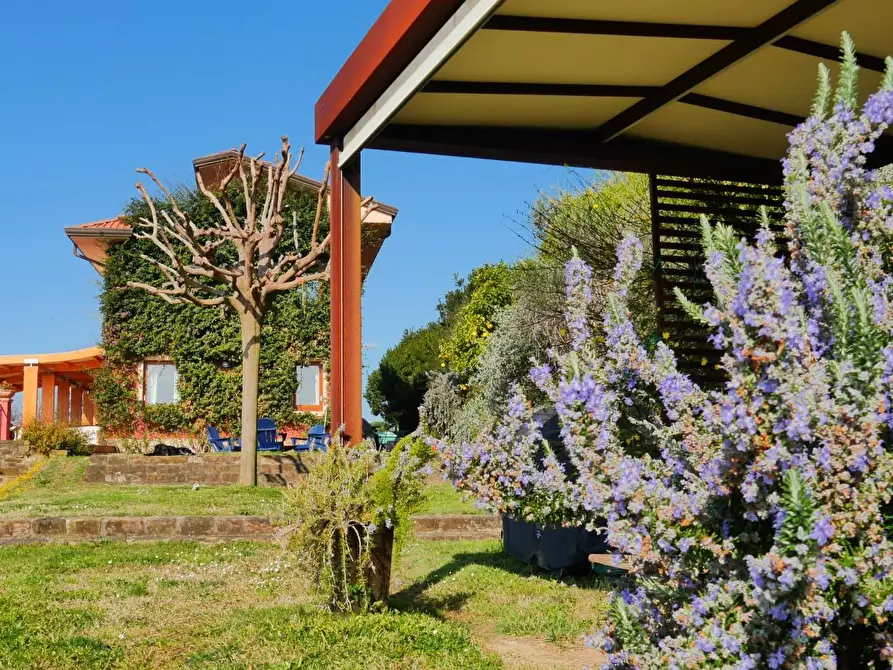 Immagine 79 di Casa colonica in vendita  a Massarosa