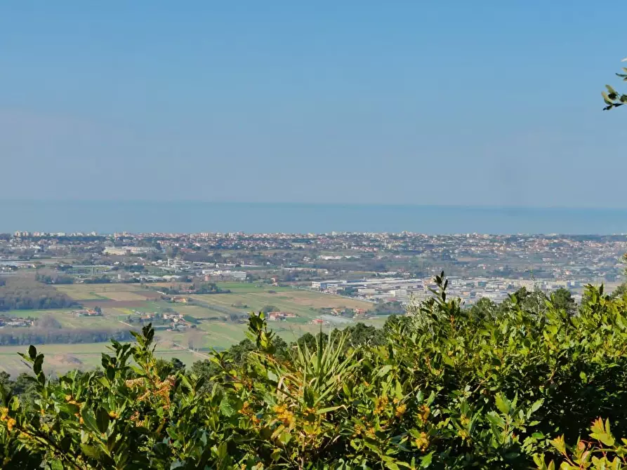 Immagine 50 di Casa colonica in vendita  a Massarosa