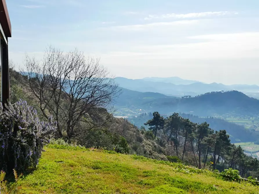 Immagine 75 di Casa colonica in vendita  a Massarosa