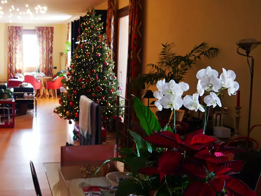 Immagine 95 di Casa colonica in vendita  a Massarosa