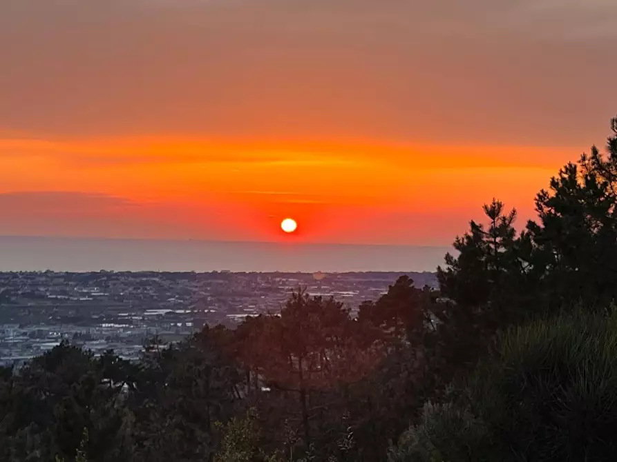 Immagine 159 di Casa colonica in vendita  a Massarosa