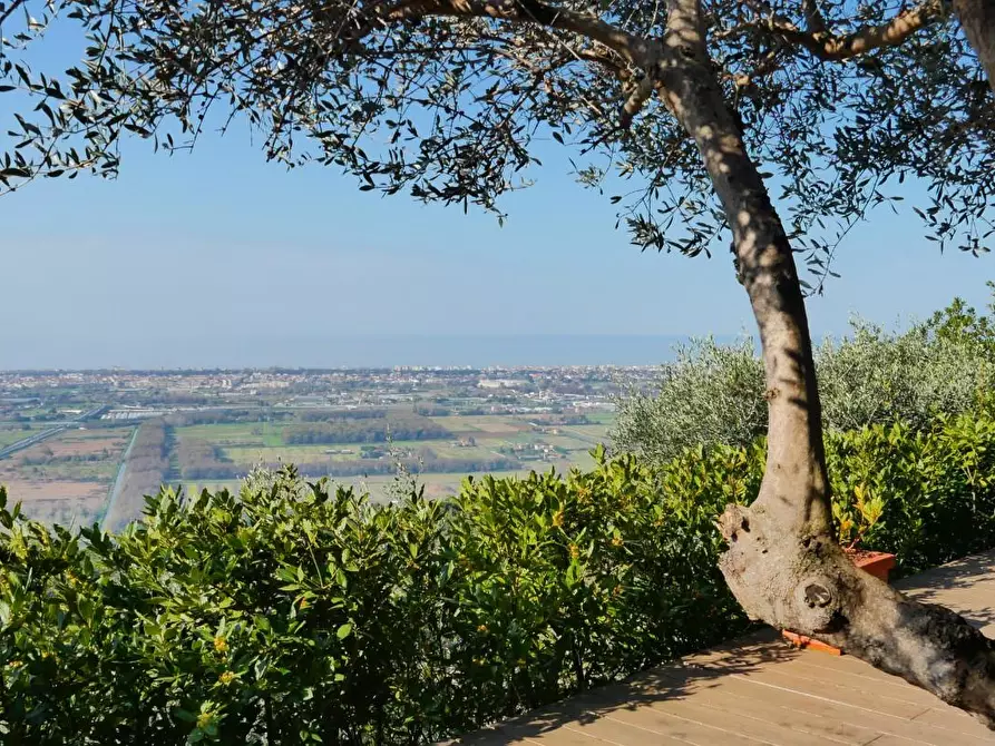 Immagine 45 di Casa colonica in vendita  a Massarosa