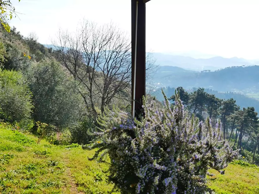 Immagine 69 di Casa colonica in vendita  a Massarosa