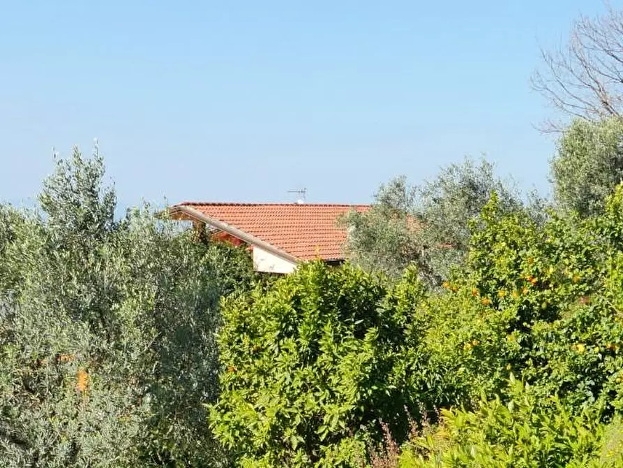 Immagine 87 di Casa colonica in vendita  a Massarosa