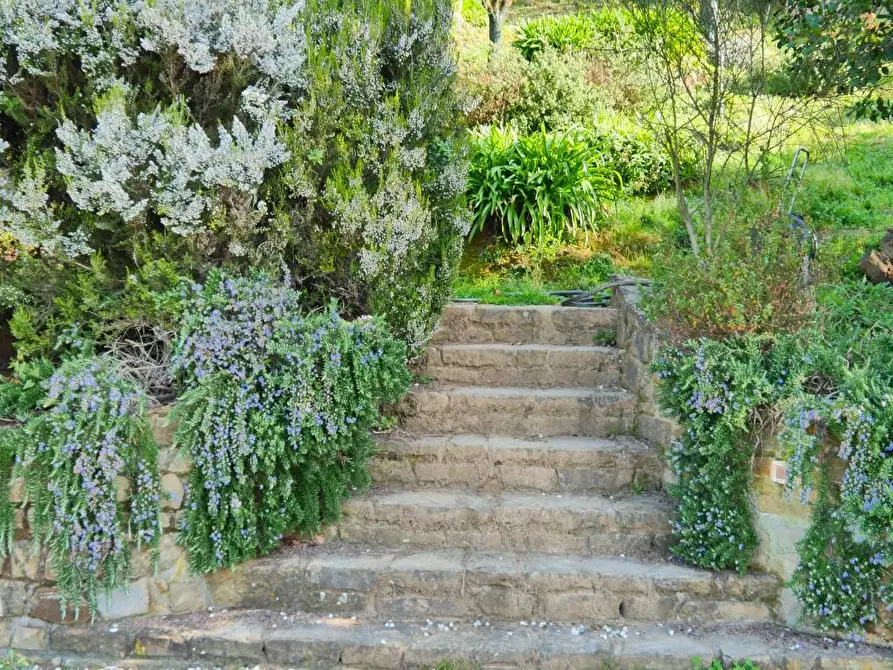Immagine 80 di Casa colonica in vendita  a Massarosa