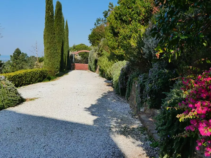 Immagine 11 di Casa colonica in vendita  a Massarosa