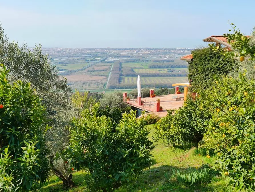 Immagine 84 di Casa colonica in vendita  a Massarosa