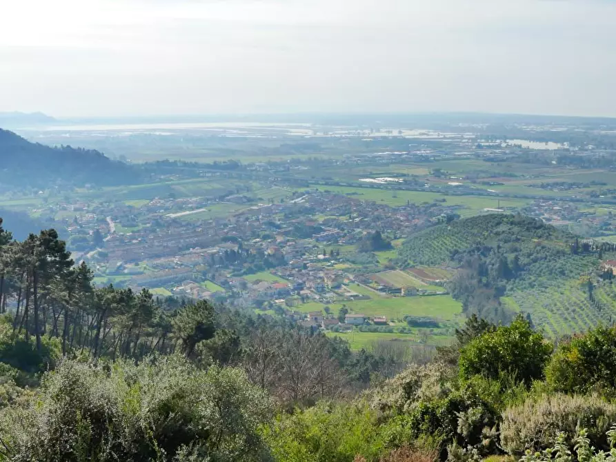 Immagine 65 di Casa colonica in vendita  a Massarosa